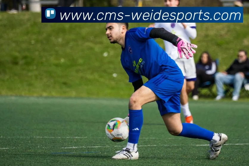 伟德体育平台生态图