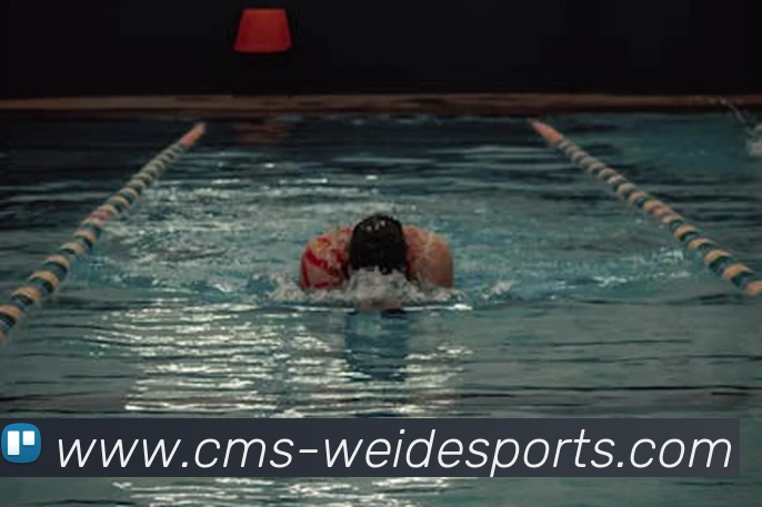 伟德体育全站App